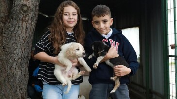 Çocuklar ile belediye el ele kedilere umut veriyor