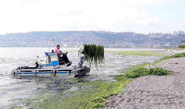 Dere, deniz ve kıyılardan 49 kamyon katı atık