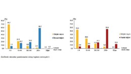 Hizmet ihracatının yüzde 58,7’sini, hizmet ithalatının yüzde 55,4’ünü büyük ölçekli teşebbüsler yaptı