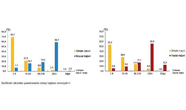 Hizmet ihracatının yüzde 58,7’sini, hizmet ithalatının yüzde 55,4’ünü büyük ölçekli teşebbüsler yaptı