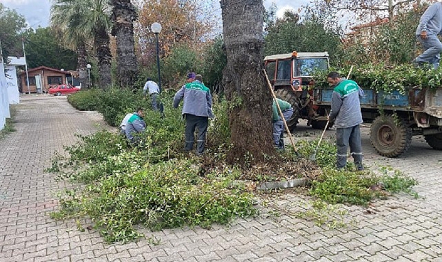 Kemer Belediyesi’nden yeşil alanlarda çalışmalar