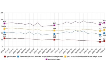 Mevsim tesirinden arındırılmış işsizlik oranı yüzde 9,0 düzeyinde gerçekleşti