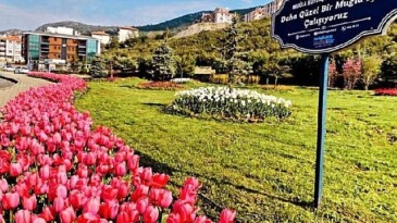 Muğla Büyükşehir Yeşil Alan Ölçüsünü Vilayet genelinde Yüzde 92 Arttırdı