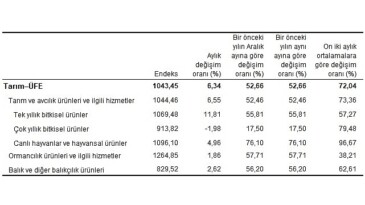 Tarım eserleri üretici fiyat endeksi (Tarım-ÜFE) yıllık yüzde 52,66, aylık yüzde 6,34 arttı