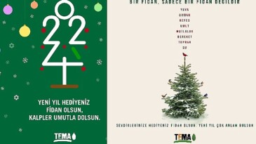 TEMA Vakfı’ndan yeni yılda fidan bağışı daveti: Her bir fidan, bir umut demek