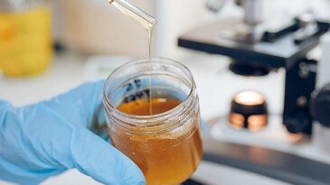 100.Yıl Besin Tahlil Laboratuvarı Açılışa Hazırlanıyor