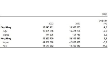 Büyükbaş hayvan sayısı bir evvelki yıla nazaran yüzde 2,6 azalarak 16 milyon 583 bin baş oldu