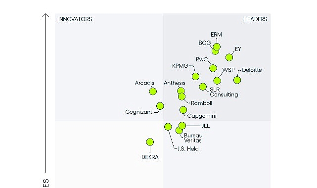 EY, ESG ve Sürdürülebilirlik Danışmanlığı alanında 2024 global pazar başkanı oldu