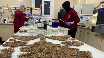 Kedi köpek maması ihracatı 10 yılda 27 kat arttı 4 milyon dolardan 122 milyon dolara çıktı