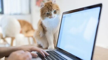 Şahsî aygıt kullanımı şirketleri riske sokuyor