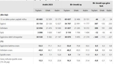 TÜİK: Mevsim tesirinden arındırılmış işsizlik oranı %8,8 düzeyinde gerçekleşti