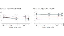 TÜİK: Mevsim tesirinden arındırılmış işsizlik oranı %8,8 düzeyinde gerçekleşti