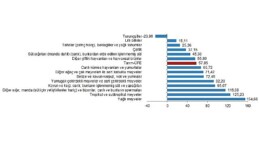 TÜİK: Tarım eserleri üretici fiyat endeksi (Tarım-ÜFE) yıllık %57,85, aylık %3,85 arttı