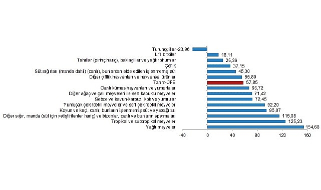 TÜİK: Tarım eserleri üretici fiyat endeksi (Tarım-ÜFE) yıllık %57,85, aylık %3,85 arttı