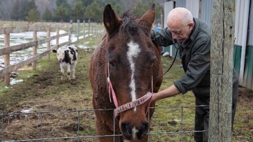 “Yetenekli Dr. Pol”un Yeni Dönemi Şubat Ayında National Geographic WILD Ekranlarında