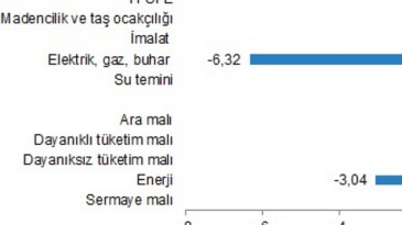 Yurt İçi Üretici Fiyat Endeksi, Ocak 2024