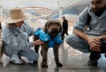 İGA İstanbul Havalimanı Terapi Köpekleri Uçuş Gerilimini Azaltmak İçin Misyona Hazır!