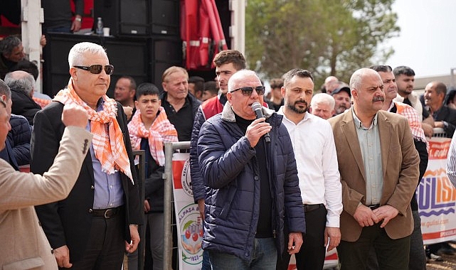 Kemalpaşa’da Boğa Güreşi Şenliği