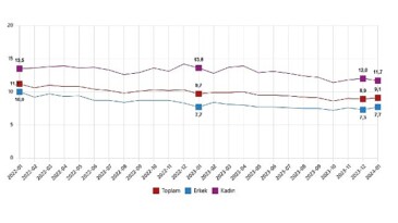TÜİK: Mevsim tesirinden arındırılmış işsizlik oranı %9,1 düzeyinde gerçekleşti