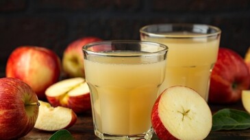 Türkiye’nin meyve suyu ihracatı 500 milyon dolara dayandı Meyve suyu bölümü 2028 yılı için 1 milyar dolar ihracat maksadına kilitlendi