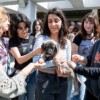 4 Nisan Dünya Sokak Hayvanları Günü PAKO’da kutlandı