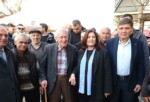 Aydın Büyükşehir Belediye Başkanı Özlem Çerçioğlu, Sultanhisar ilçesinde Cet Tohumlarından üretilen fidelerin dağıtımını gerçekleştirdi ve pazar esnafıyla buluştu