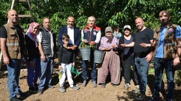 Kirazdaki ihracat amacı 300 milyon dolara yükseldi