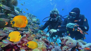 Setur, tatil severlerin Ramazan Bayramı tercihlerini açıkladı