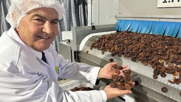 Türk besin ihracatçıları ABD’den ticari irtibatlarla döndü