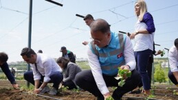 Beylikdüzü Belediyesi tarafından hayata geçirilen ve kent tarımına büyük katkı sunan Ömür Bahçesi’nde yaz mevsiminin birinci fideleri dikildi