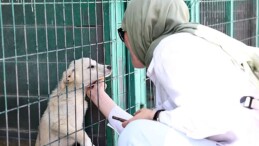 Hayvan Dostu Öğrencilerden Barınağa Ziyaret