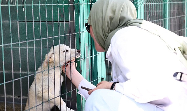 Hayvan Dostu Öğrencilerden Barınağa Ziyaret