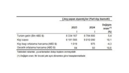 Tüik: Turizm geliri ve masrafı için revizyon tamamlandı