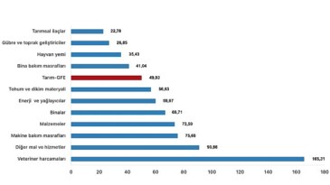 Tüik: Ziraî girdi fiyat endeksi (Tarım-GFE) yıllık %49,93 arttı, aylık %1,16 arttı