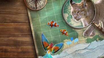 ‘Vahşi Avrupa’ Temasıyla National Geographic NOW Seç-İzle Servisi Haziran Ayında Tekrar Dopdolu