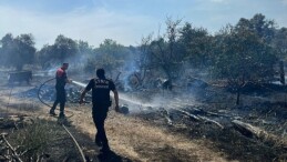 Aydın Büyükşehir Belediyesi İtfaiyesi, bugün öğlen saatlerinde Efeler’in Umurlu Mahallesi’nde çıkan arazi yangınına kısa müddette müdahale ederek bir facianın önüne geçti