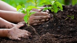Dünya Etraf Günü’nde TEMA Vakfı’ndan Manalı İleti: “Bizim toprağımız, bizim geleceğimiz. Biz doğayı onaracak nesiliz!”