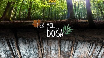 TOD’da Haziranda Yaz Şenliği Var!