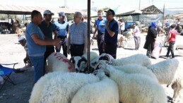 Burhaniye Belediyesi Kurban Bayramı Arifesinde kurban satış ve kesim yerlerini denetledi