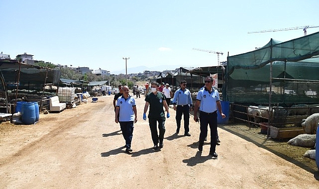 Karabağlar’da Kurban Bayramı öncesi sıkı kontrol