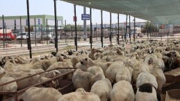 Selçuklu Belediyesi vatandaşların Kurban Bayramı’nı rahat ve huzurlu bir biçimde geçirmesi için tüm hazırlıkları tamamladı