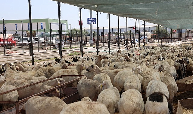 Selçuklu Belediyesi vatandaşların Kurban Bayramı’nı rahat ve huzurlu bir biçimde geçirmesi için tüm hazırlıkları tamamladı