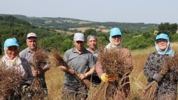 Tarım kenti Kandıra’da, Kandıra Belediyesi tarafından ziraî üretimi desteklemek maksadıyla sürdürülen çalışmalar aralıksız devam ediyor