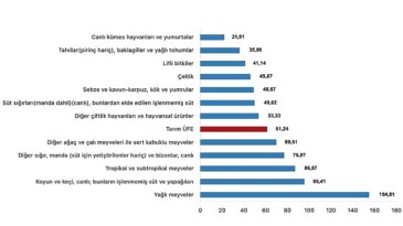 Tüik: Tarım eserleri üretici fiyat endeksi (Tarım-ÜFE) yıllık %61,24 arttı, aylık %0,91 azaldı