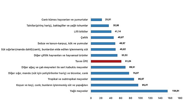 Tüik: Tarım eserleri üretici fiyat endeksi (Tarım-ÜFE) yıllık %61,24 arttı, aylık %0,91 azaldı