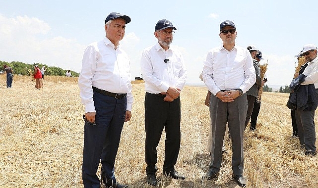 Ankara Üniversitesi Ziraat Fakültesinde Klasik Hasat Bayramı