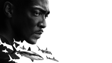 ‘Anthony Mackie ile Köpekbalıkları: Körfez Kıyıları’ 20 Temmuz Cumartesi 20.00’de National Geographic WILD Ekranlarında!