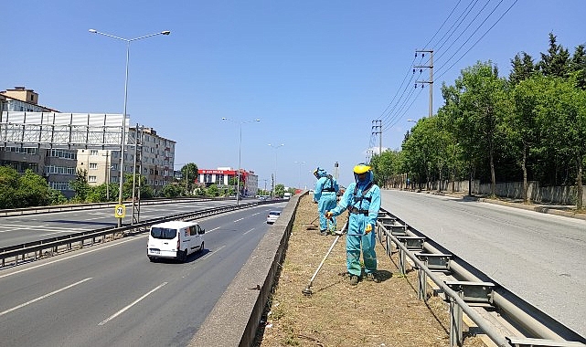 Büyükşehir’den paklık seferberliği