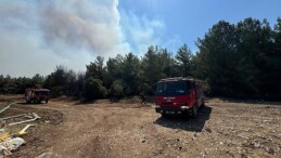 İzmir İtfaiyesi 4 ilçede yangınlara müdahale ediyor