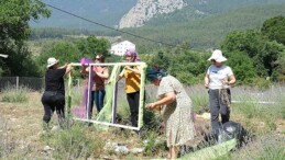 Kemer’de lavanta tanıtım aktiflikleri başlıyor